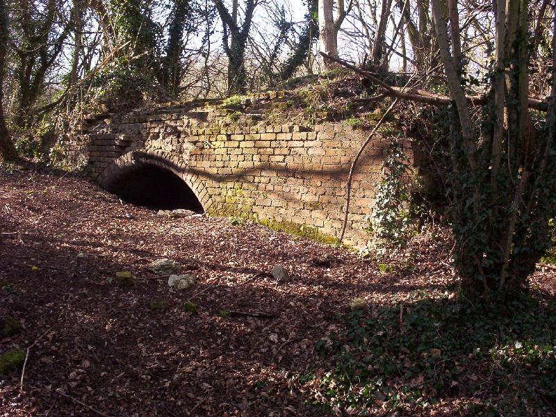 Remains of the Dawley Castle Furnaces