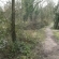 Shropshire Canal opened in area